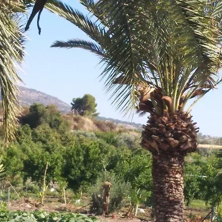 شقة Palm Tree Apts