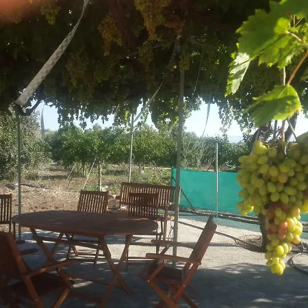 Apartman Palm Tree Apts Argáka