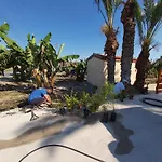 Apartment Palm Tree Apts *
