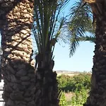 Palm Tree Apts *