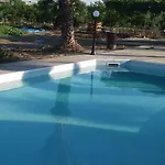 Palm Tree Apts