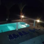 Palm Tree Apts