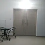 Apartment Palm Tree Apts Argaka