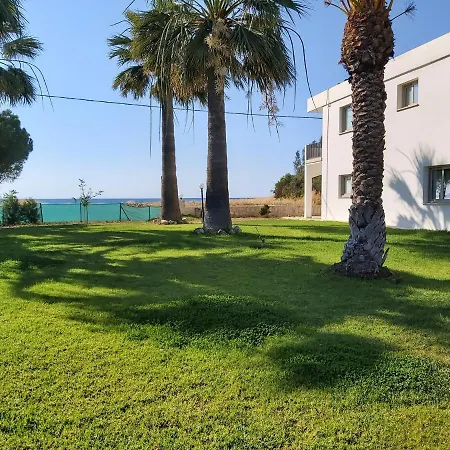 アパート Palm Tree Apts *