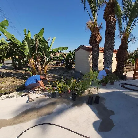 Daire Palm Tree Apts *