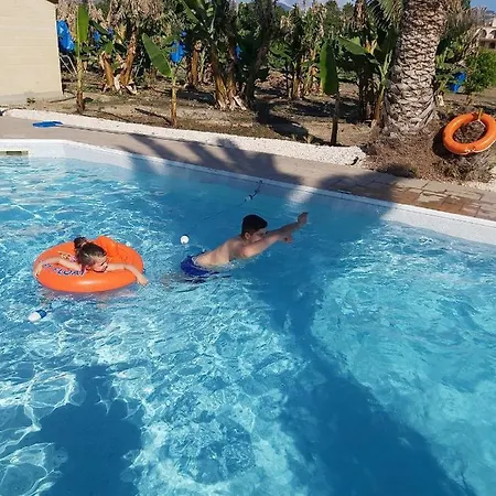 Daire Palm Tree Apts *
