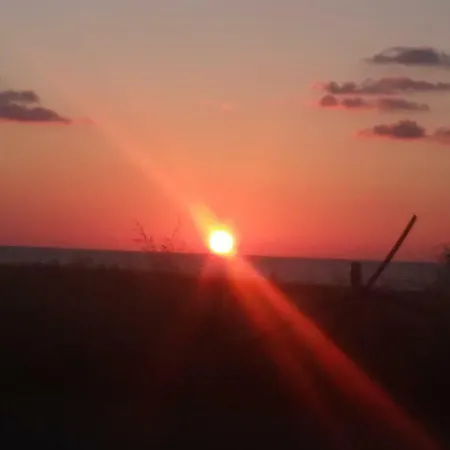 Palm Tree Apts דירה