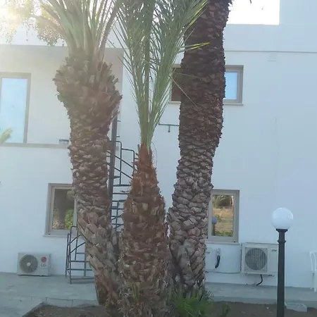Palm Tree Apts Argaka