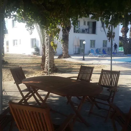 Palm Tree Apts דירה