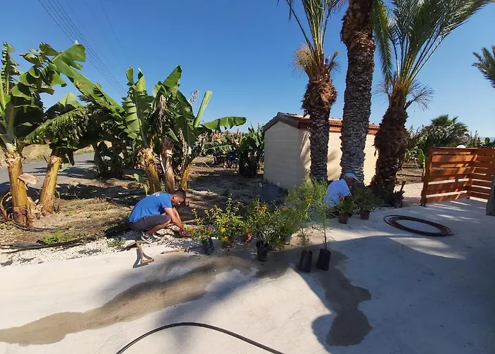 Appartamento Palm Tree Apts *