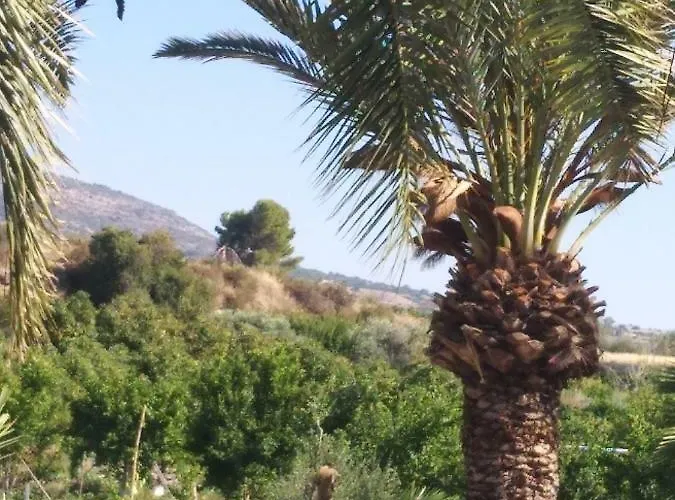 Apartmán Palm Tree Apts